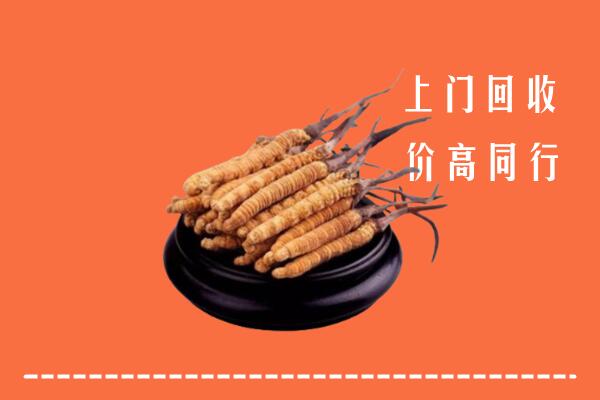 高价求购：泰州市海陵回收散虫草