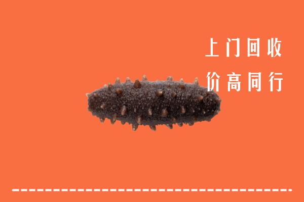 高价求购：泰州市海陵回收海参