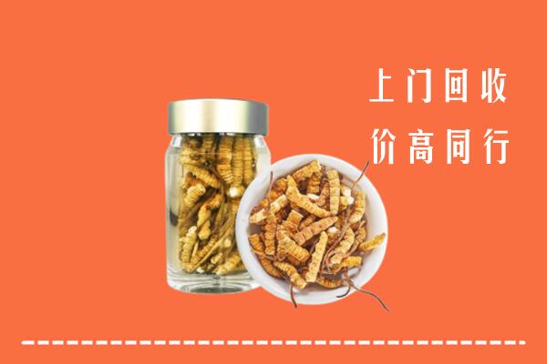 泰州市海陵回收冬虫夏草